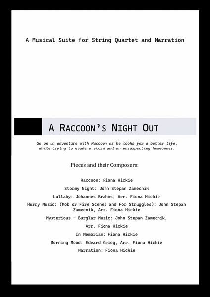 A Raccoon's Night Out image number null