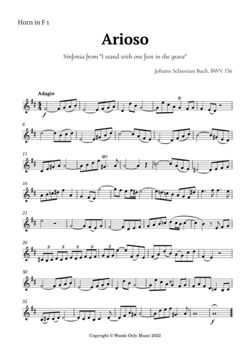 Arioso by Bach for French Horn Quintet image number null