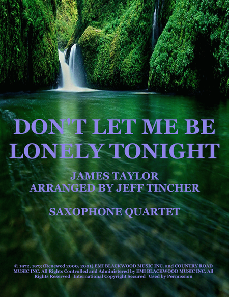 Don't Let Me Be Lonely Tonight image number null
