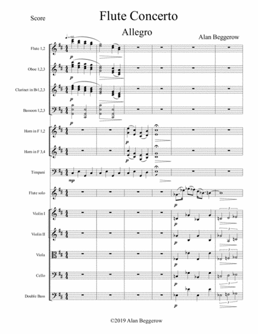 Flute Concerto (score only)