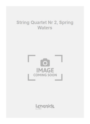 String Quartet Nr 2, Spring Waters