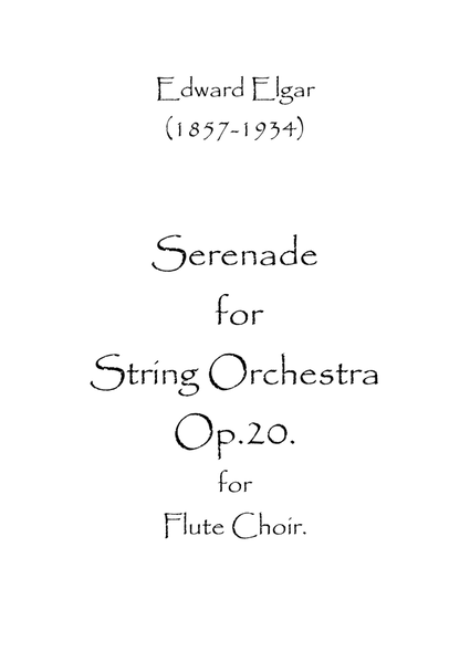 Serenade for String Orchestra Op.20 image number null