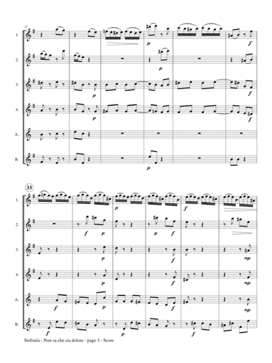 Sinfonia (from Non sa che sia dolore) for Flute Choir