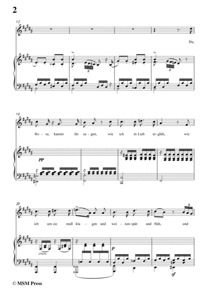 Schubert-Der Blumenbrief,in B Major,for Voice&Piano image number null