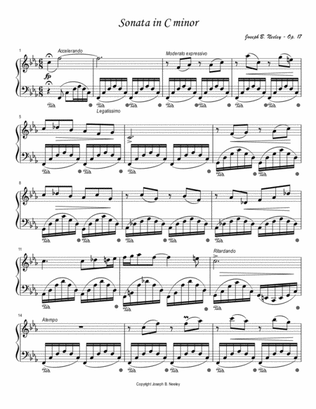 Book cover for Sonata in C minor