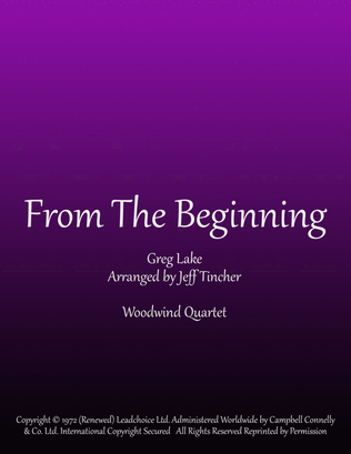 Book cover for From The Beginning