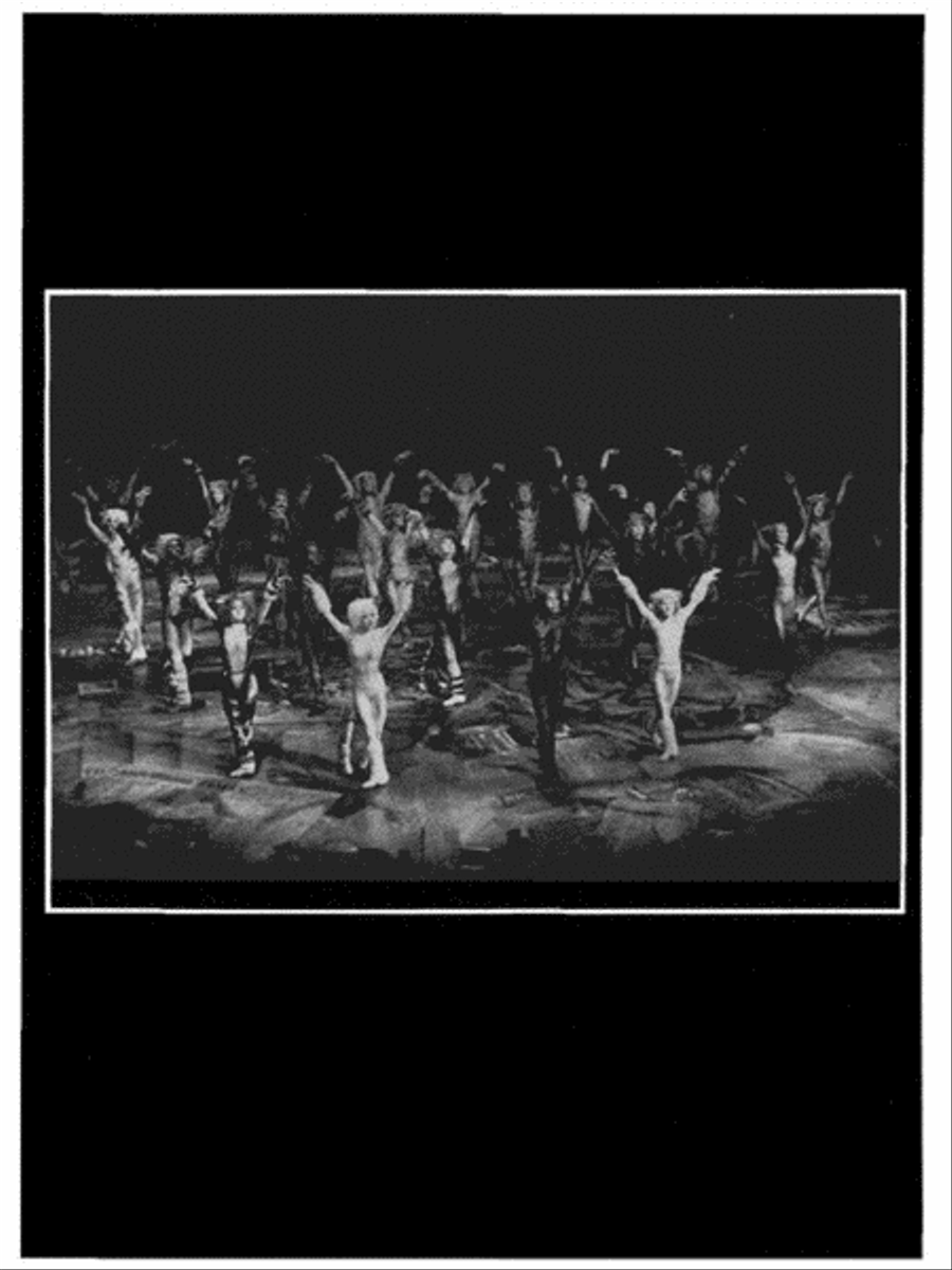 Cats Cats Piano, Vocal, Guitar scores gallery preview page 8