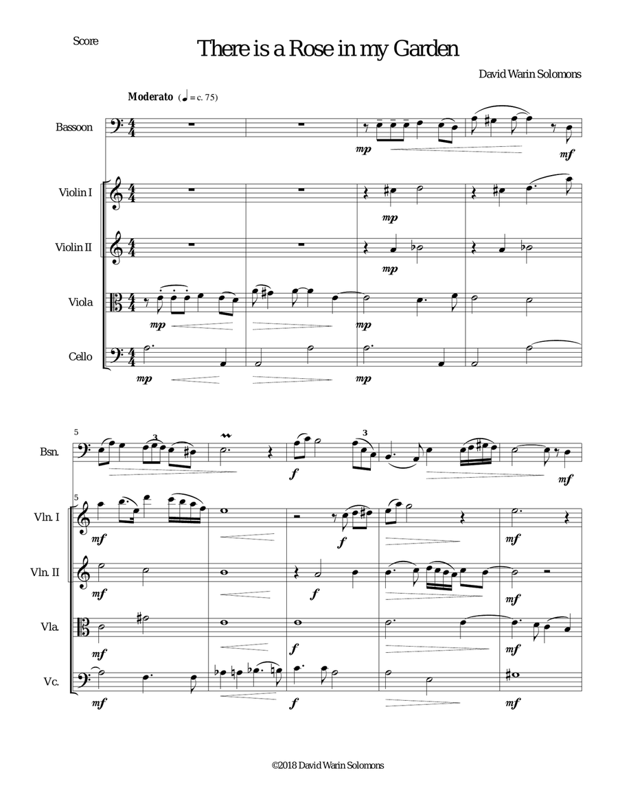 There is a Rose in my Garden for bassoon and strings Chamber Orchestra scores gallery preview page 1