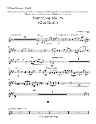 Symphony No.25 (Our Earth) PART 4