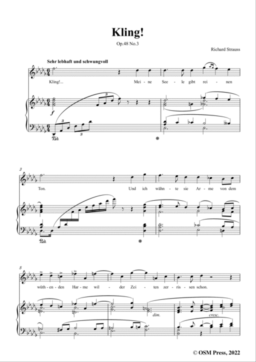 Richard Strauss-Kling!in D flat Major,Op.48 No.3 Piano, Vocal scores gallery preview page 3