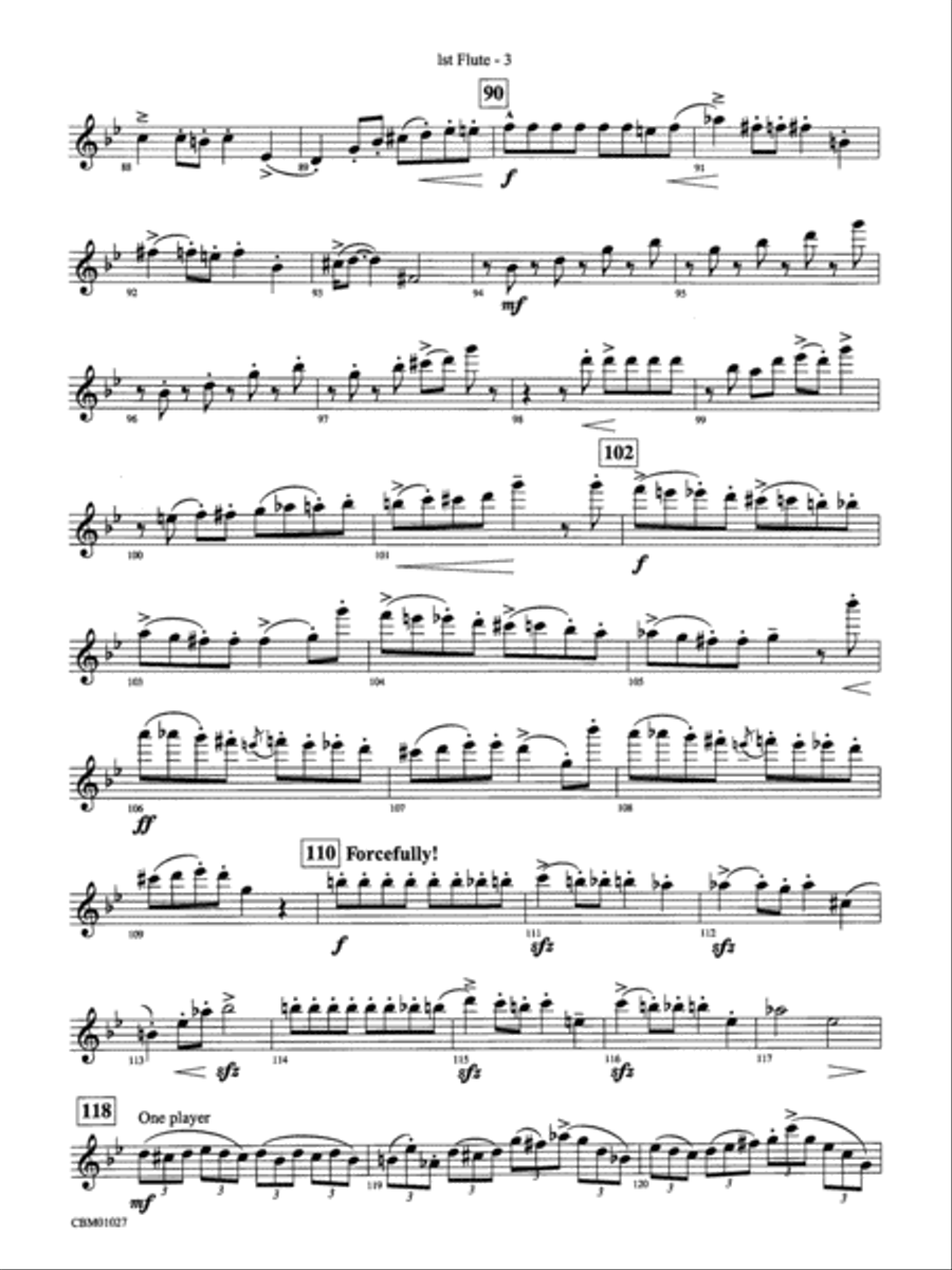 Harry Potter Symphonic Suite: Flute Concert Band scores gallery preview page 3