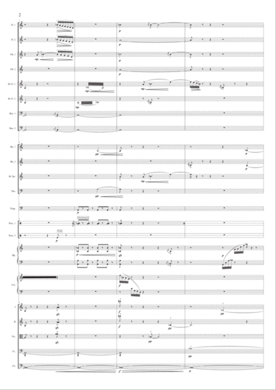 Claudio Bianchi: UNSAID (ES-20-005) - Score Only Chamber Orchestra scores gallery preview page 4