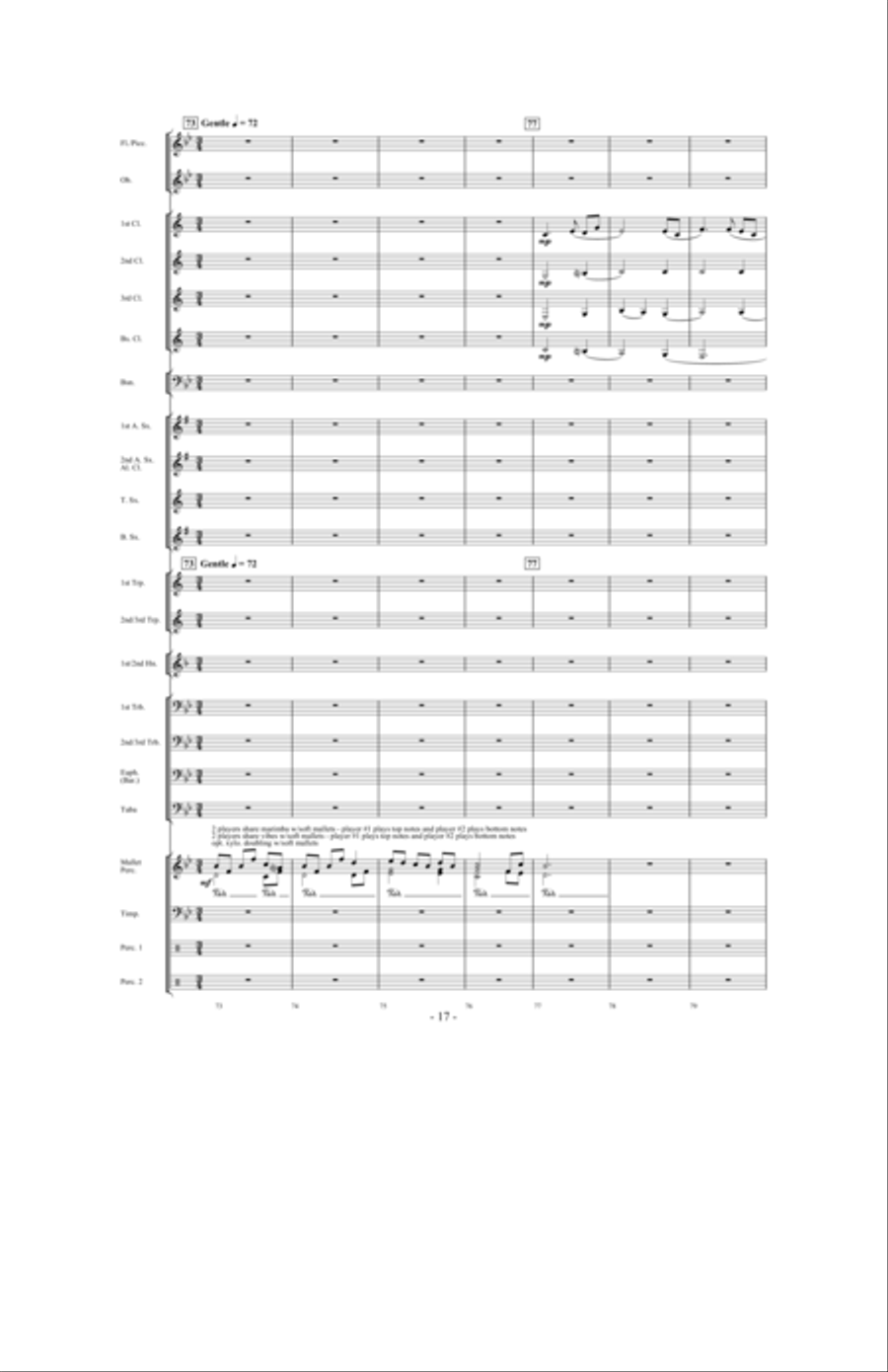 Forever Shining Concert Band scores gallery preview page 16