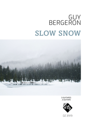 Book cover for Slow Snow