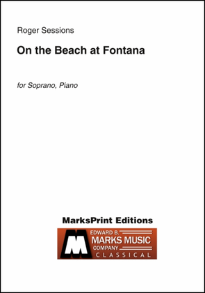 Book cover for On the Beach at Fontana
