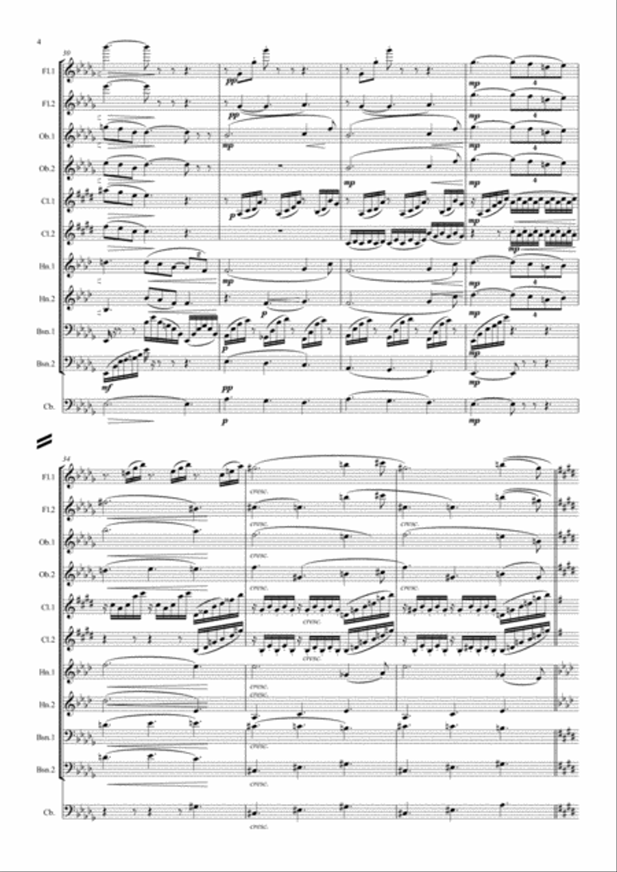 Debussy: Suite Bergamasque Mvt.3 Clair de Lune - wind dectet (& bass) School and Community scores gallery preview page 4
