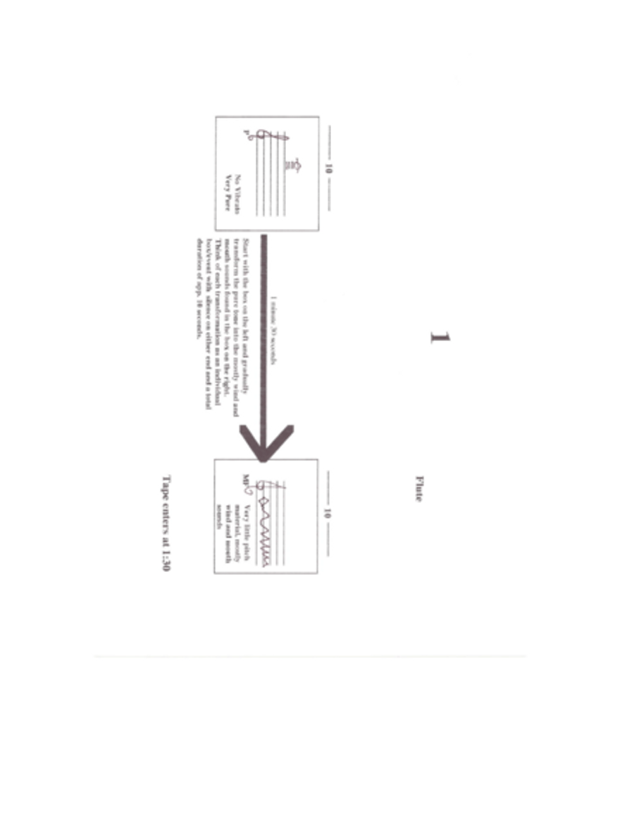 Down in the Mouth-For Microtonal Flute and Pre-Recorded Track Small Ensemble scores gallery preview page 3