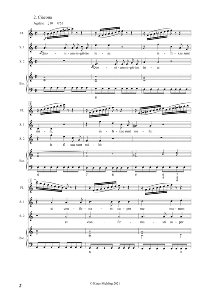 Domine, ne in furore tuo (Psalm 38). Motette für 2 Soprane, Traversflöte und B.c., op. 56 (1995)