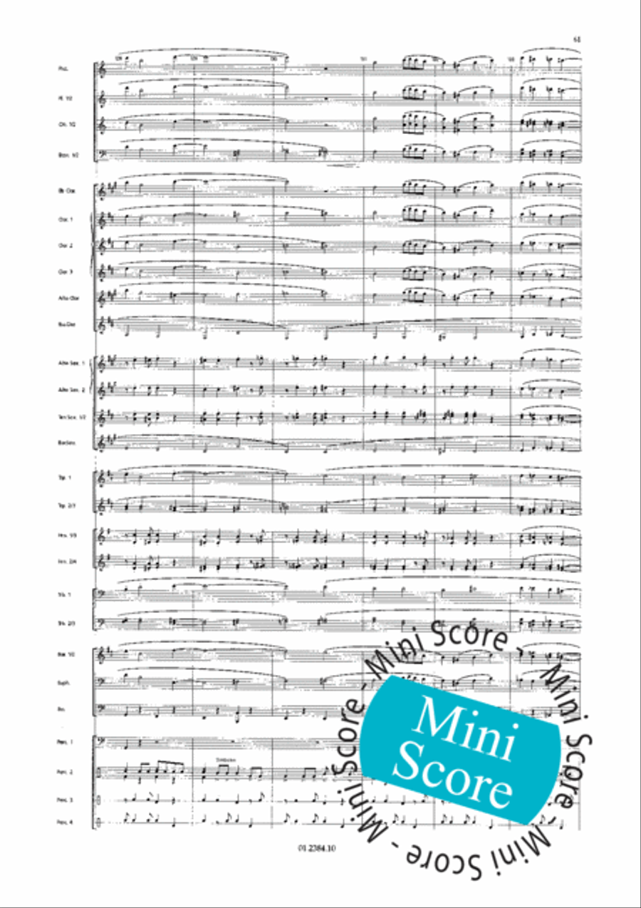Os Passaros Do Brasil Concert Band scores gallery preview page 69