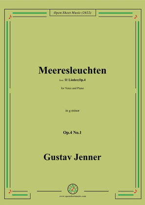 Jenner-Meeresleuchten,in g minor,Op.4 No.1