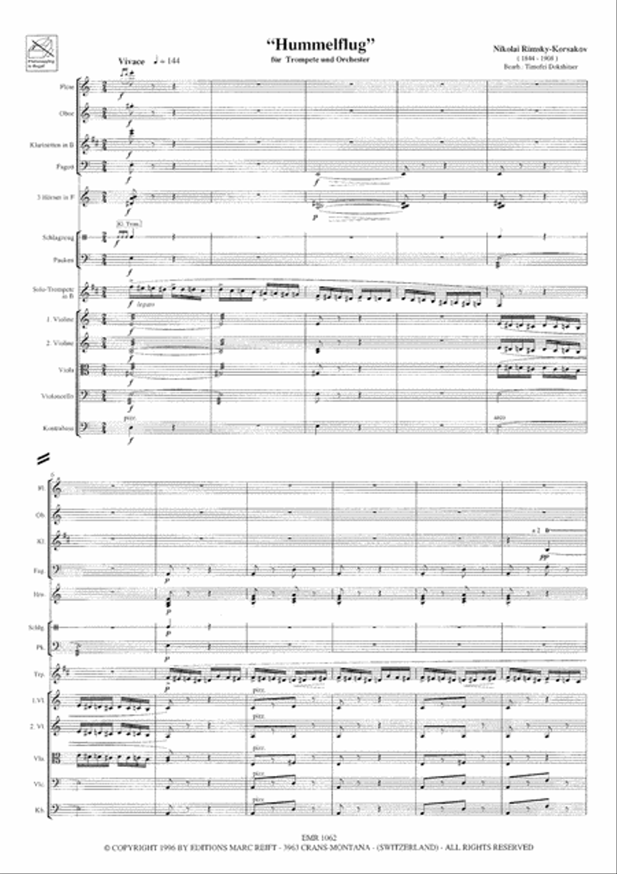 Hummelflug String Orchestra scores gallery preview page 4