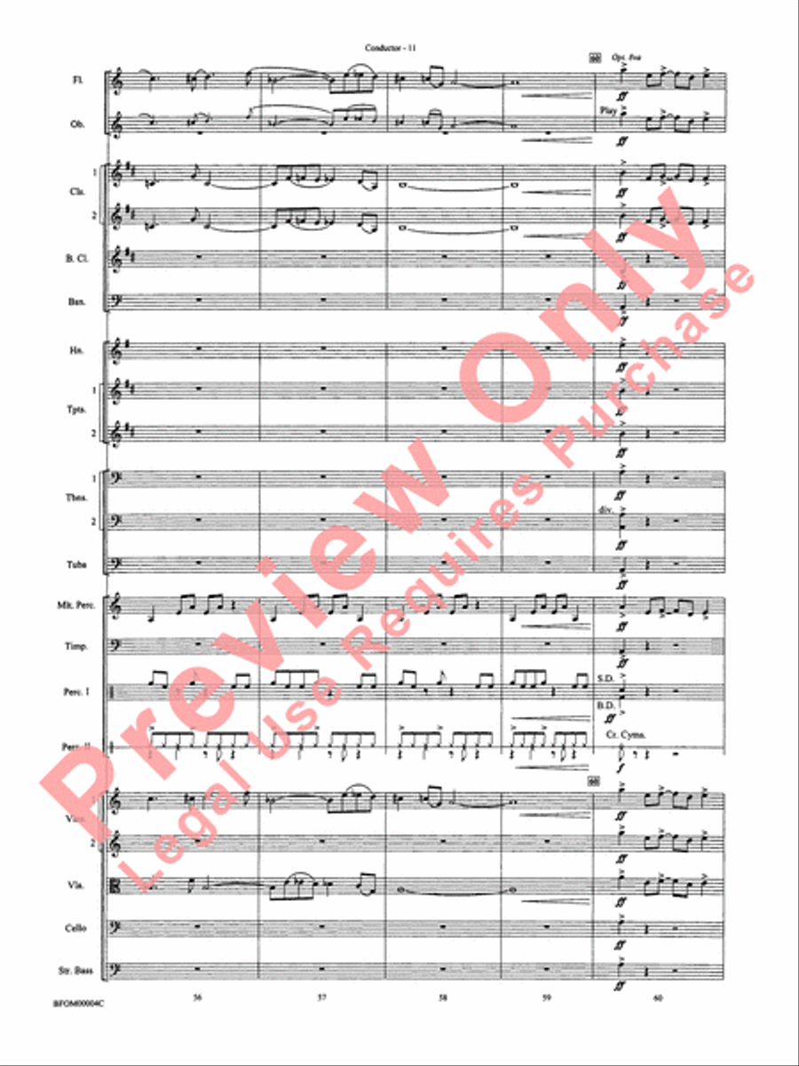 Rites of Tamburo Full Orchestra scores gallery preview page 14