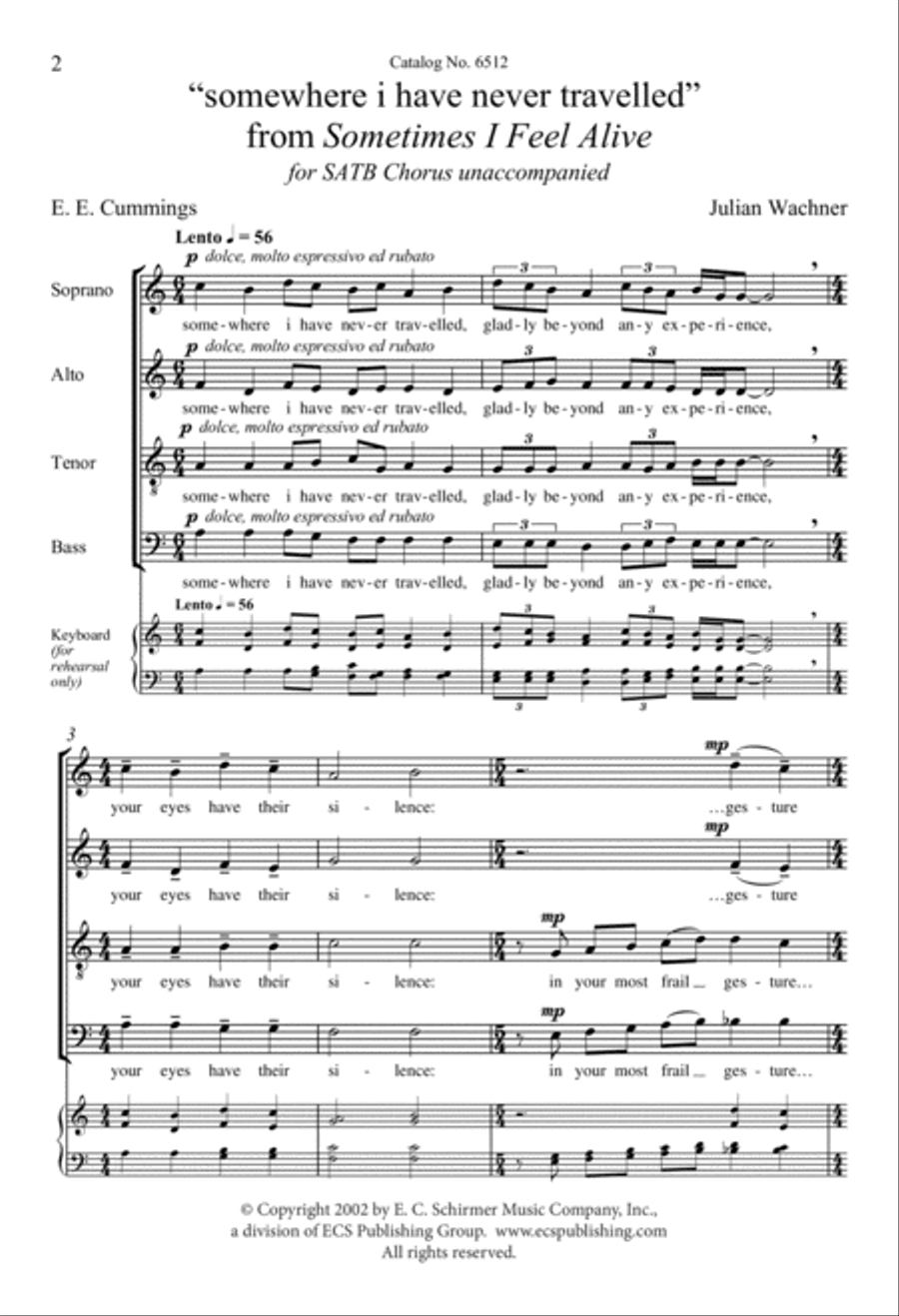 Sometimes I Feel Alive: 3. somewhere I have never travelled Divisi scores gallery preview page 2