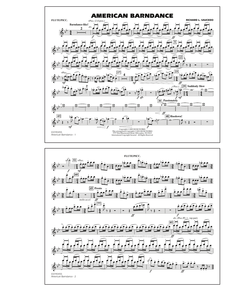 American Barndance - Flute/Piccolo Marching Band scores gallery preview page 1