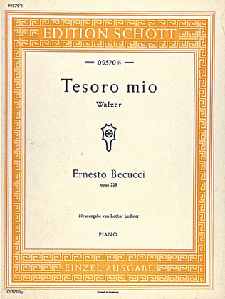 Tesoro mio D major, Op. 228