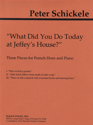 Book cover for What Did You Do Today At Jeffey's House?