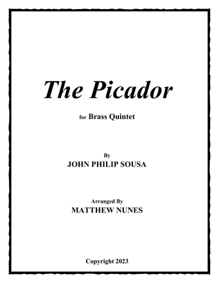 Book cover for The Picador
