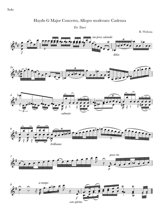 Book cover for Cadenza for Haydn's G Major Violin Concerto, Allegro moderato