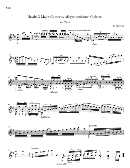 Cadenza for Haydn's G Major Violin Concerto, Allegro moderato