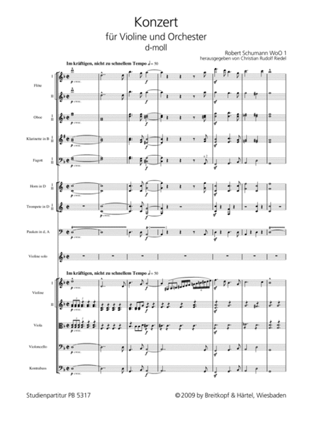 Violin Concerto in D minor WoO 1