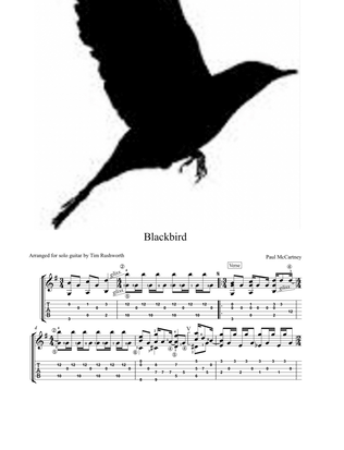 Blackbird