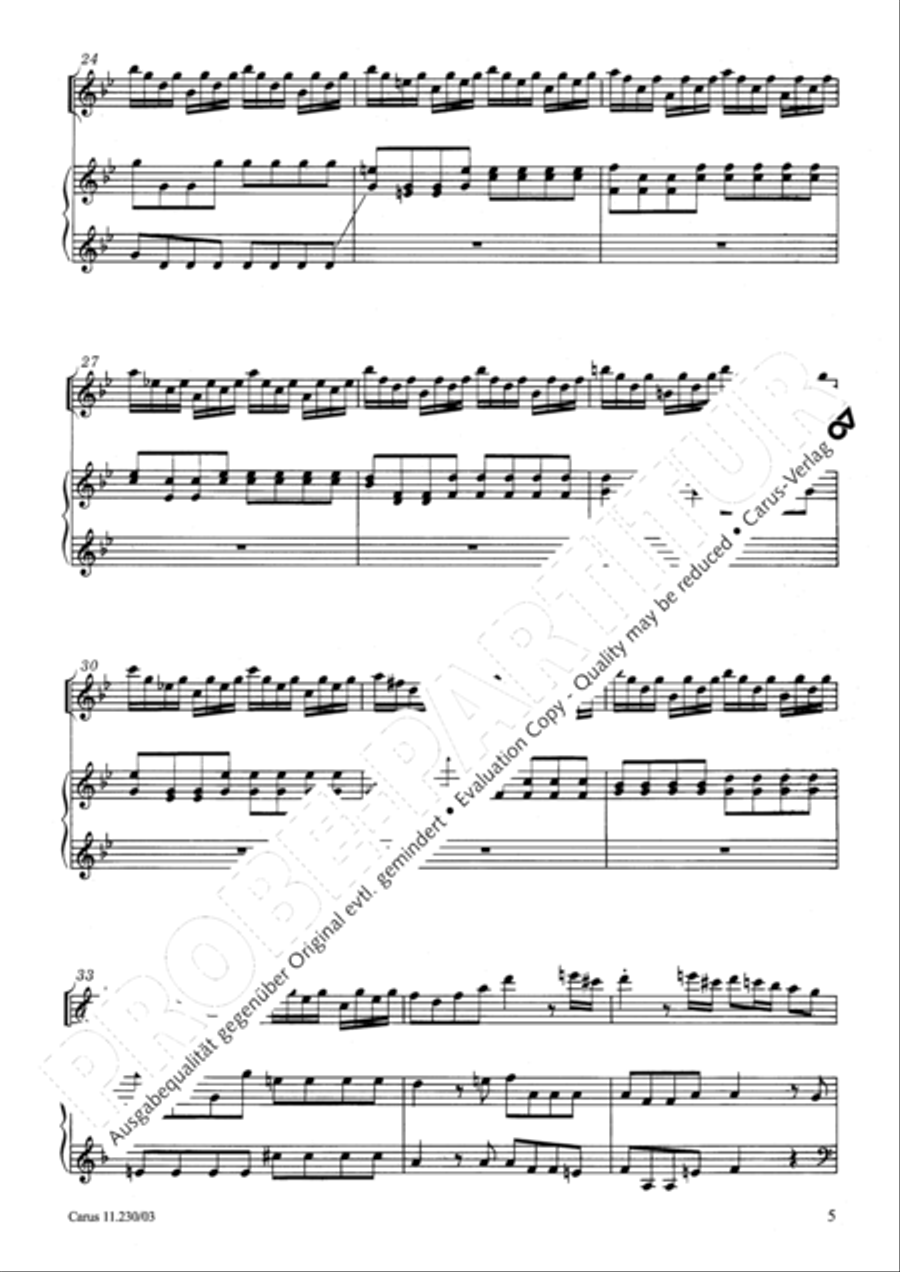 Concerto in B flat major Recorder scores gallery preview page 6