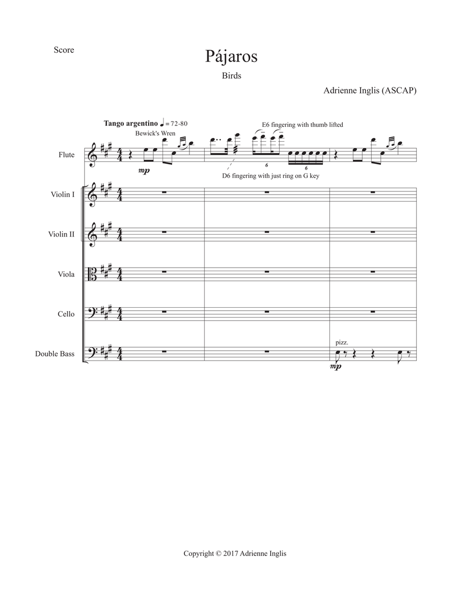 Pájaros (Birds) for solo flute and strings Chamber Orchestra scores gallery preview page 3