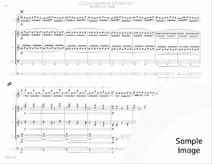 Danza Furioso Percussion Ensemble scores gallery preview page 13