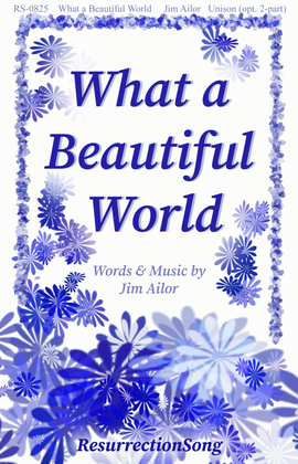 Book cover for What a Beautiful World (Unison, Two-part, Flute)