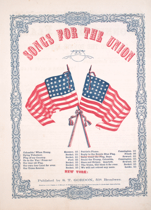 Book cover for Reply to the Bonnie Blue Flag