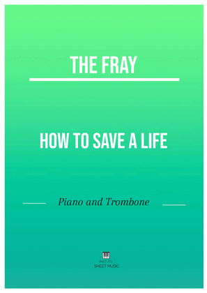 Book cover for How To Save A Life