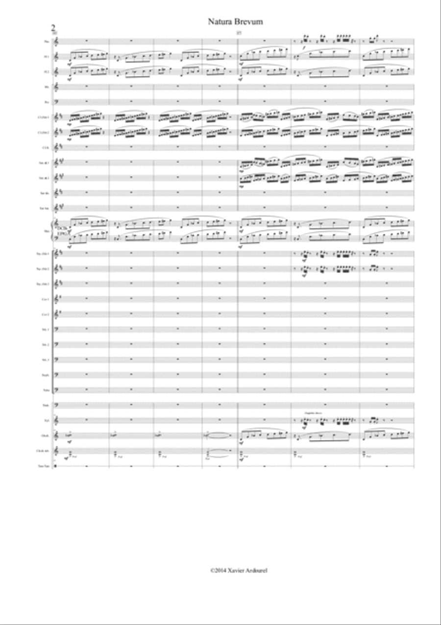 NATURA BREVUM NATURA BREVUM Concert Band scores gallery preview page 2
