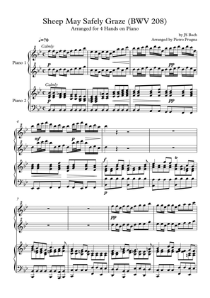Sheep May Safely Graze (BWV 208) by JS Bach - arranged for Piano Duet