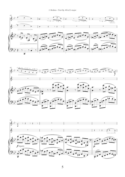 Trio Op.40 by Johannes Brahms for violin, horn and piano