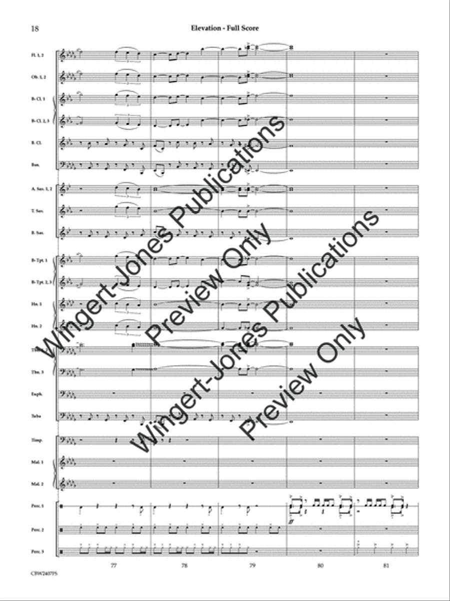 Elevation (Score) Concert Band scores gallery preview page 19