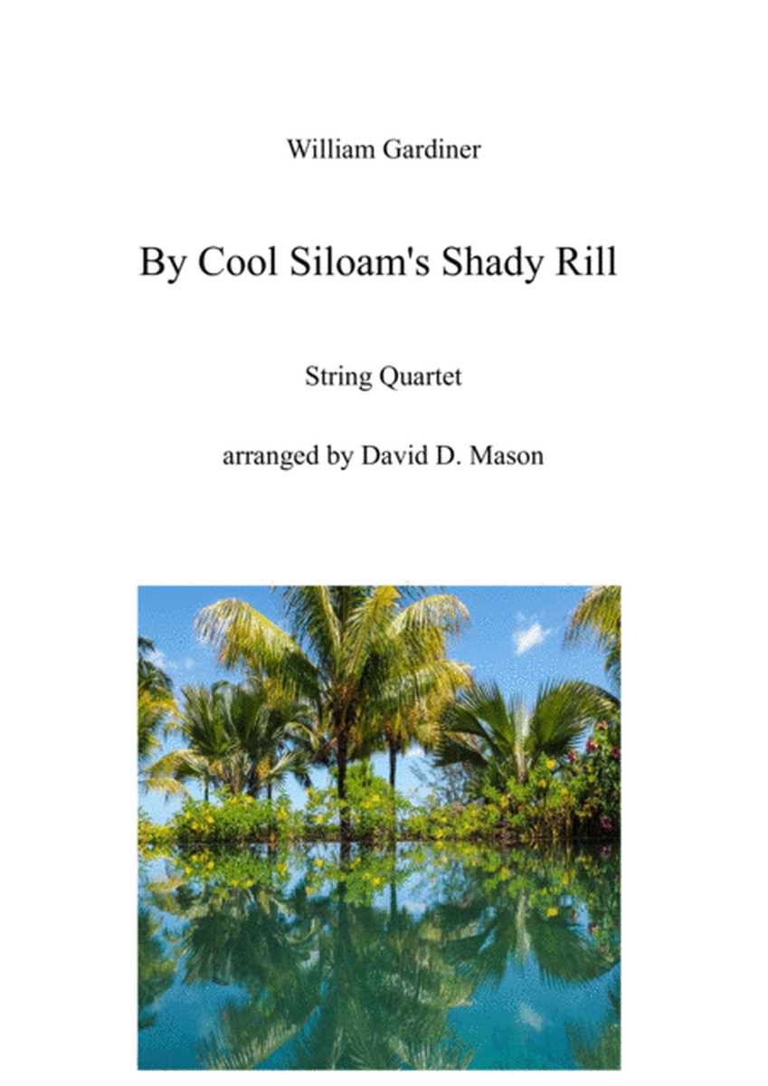 By Cool Siloam's Shady Rill image number null