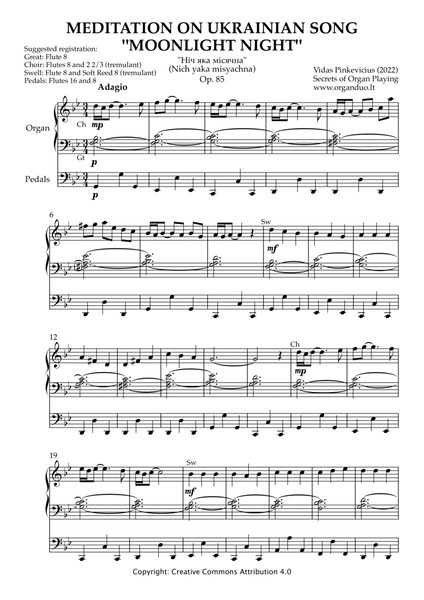 Meditation on Ukrainian Song "Moonlight Night", Op. 85 (Organ Solo) by Vidas Pinkevicius (2022) image number null