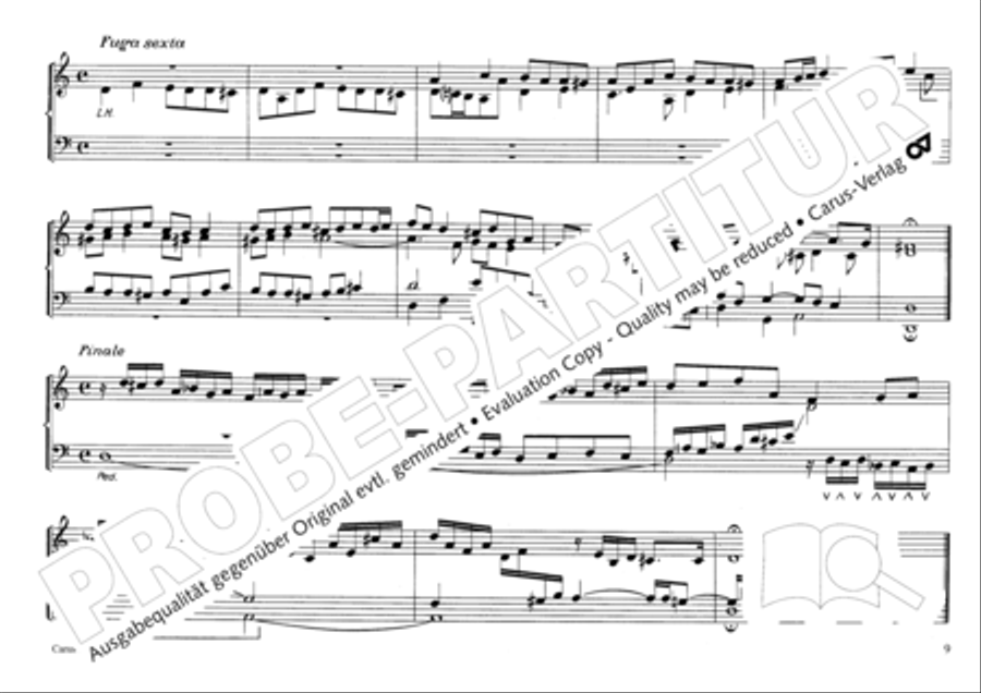 Musikalischer Blumenstrauss Organ Solo scores gallery preview page 12
