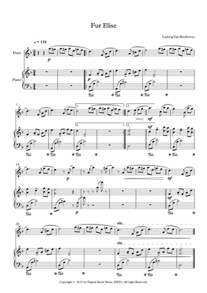 Fur Elise - Ludwig Van Beethoven (Flute + Piano)