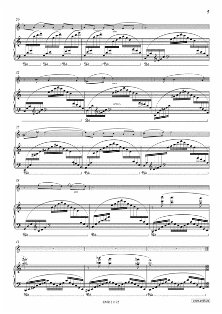 Concerto No. 2 Tenor Recorder scores gallery preview page 5